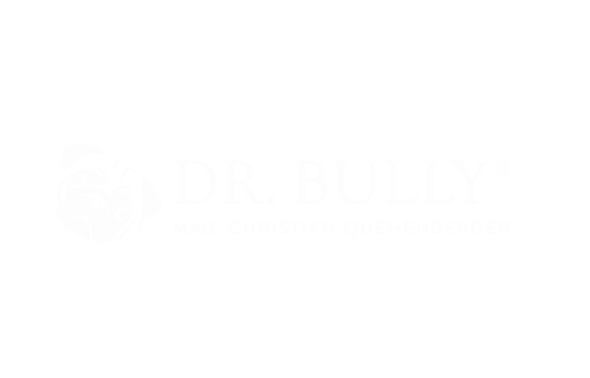 komplexlappentechnik-bully-logo